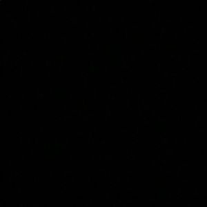 Meet your Posher, Logan